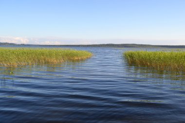 kavgolovskoe Gölü