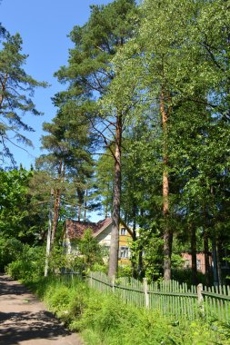 Russian rural house in summer forest clipart