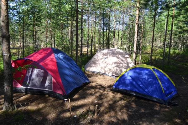 Tentes de camping — Photo