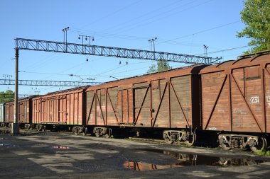 Kargo treni