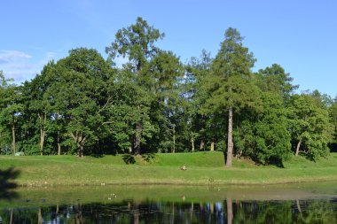 Gatchina park