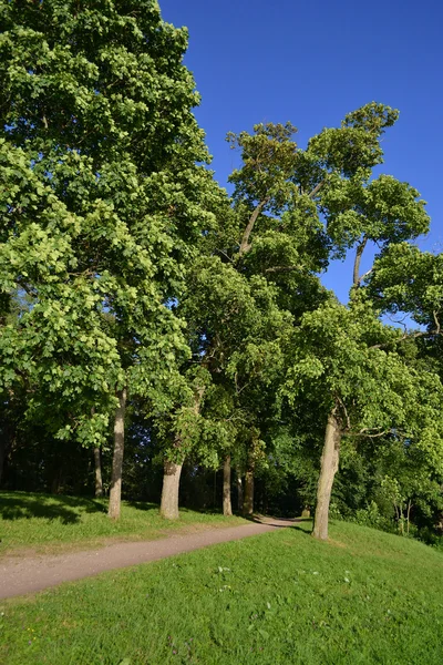 Stock image Gatchina Park