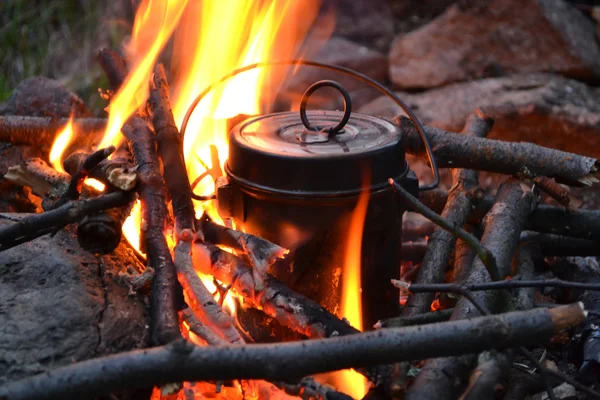 Pan on a fire — Stock Photo, Image