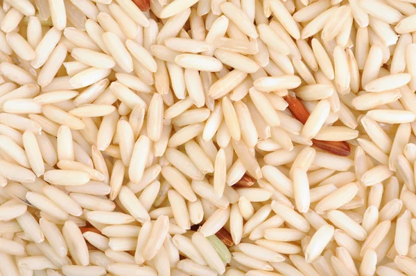 Cereal grain — Stock Photo, Image