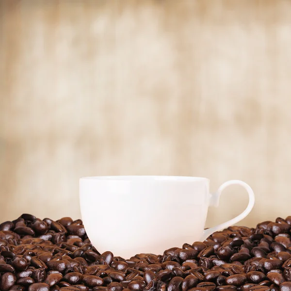 Coffee bean background — Stock Photo, Image