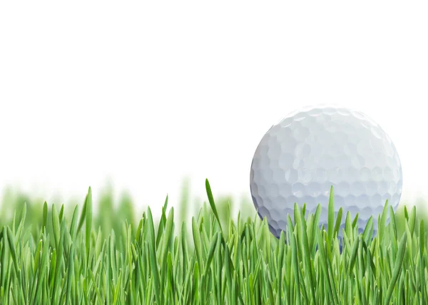 Golfboll på gräs — Stockfoto