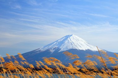 Mt. Fuji