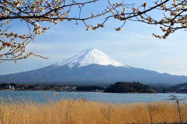 Mt. Fuji — Stock Photo, Image