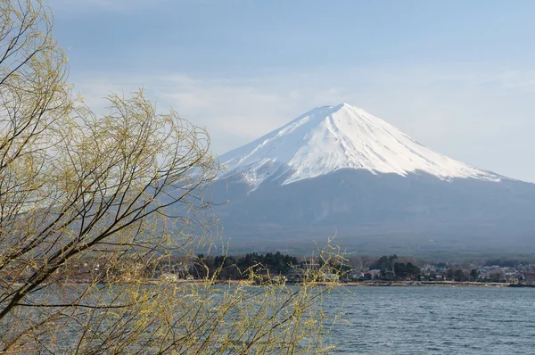 Mount fuji — Stockfoto