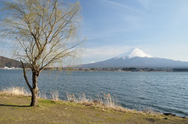 Mt. Fuji. —  Fotos de Stock