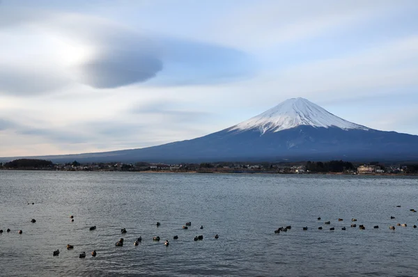 Mount fuji — Stockfoto