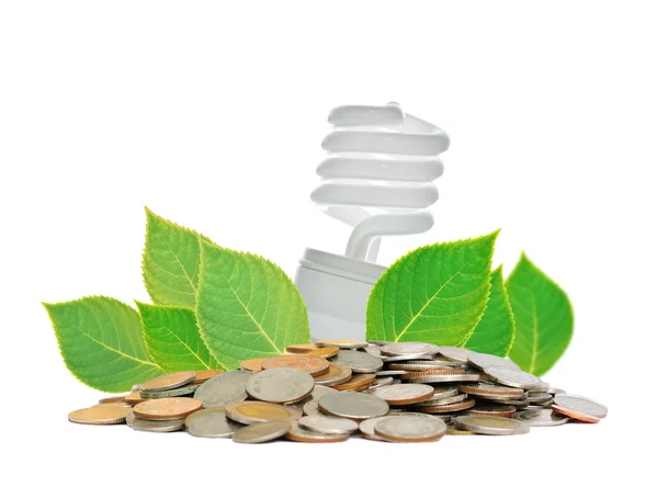 Concetto lampada a risparmio energetico — Foto Stock