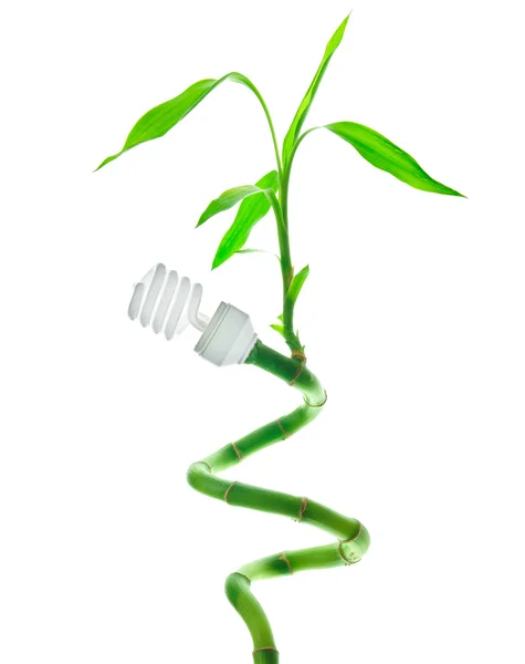Conceito de lâmpada de poupança de energia — Fotografia de Stock