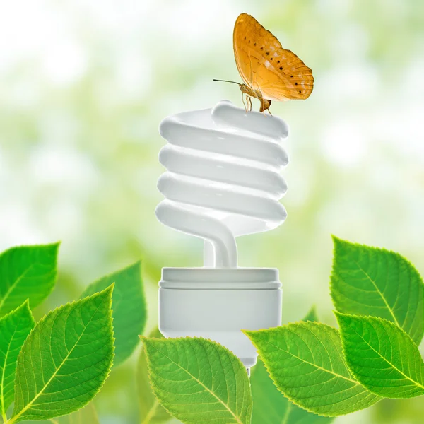 Концепція енергозберігаючої лампи — стокове фото