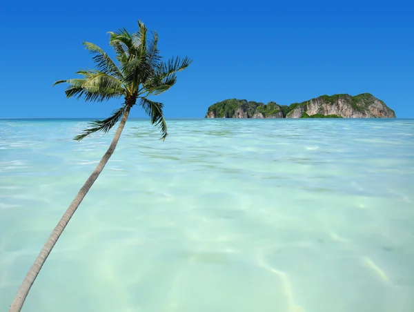 Панорамный тропический пляж — стоковое фото