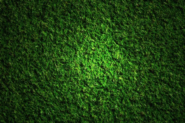 夜に草のフィールド — ストック写真