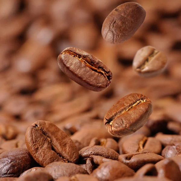 Ziarna kawy aromatyczne smażone — Zdjęcie stockowe