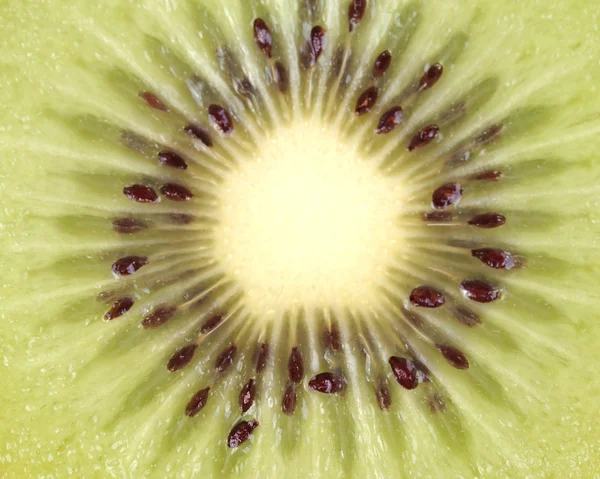 Nahaufnahme einer hinterleuchteten Kiwi-Scheibe — Stockfoto