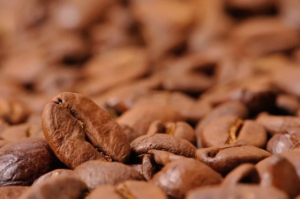 Крупним планом кавові зерна — стокове фото