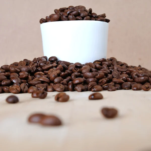 Grãos de café frescos — Fotografia de Stock