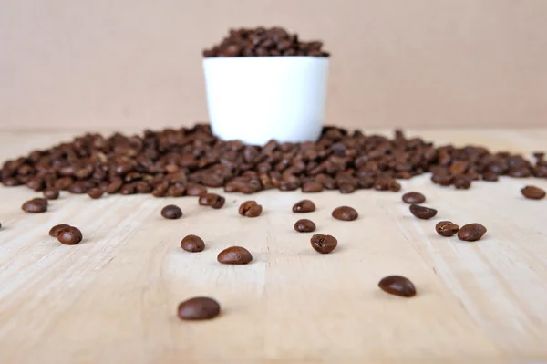 Свежий кофе в зернах — стоковое фото