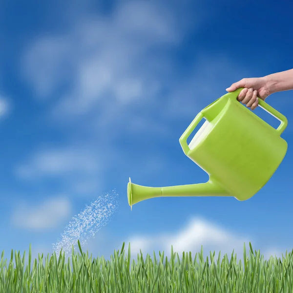 Human hand with green watering pot watering green grass — Stock Photo, Image