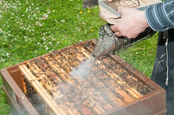 Μελισσοκόμος ψεκασμό των κυψελών Royalty Free Φωτογραφίες Αρχείου