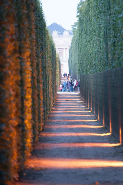 Versailles - 21 juli: Ljus och Thuya korridor på fontänerna Stockbild