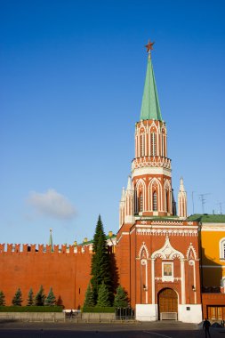 Moskova kremlin görünümünü