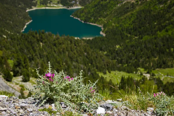 Sjön oredon i franska Pyrenéerna — Stockfoto
