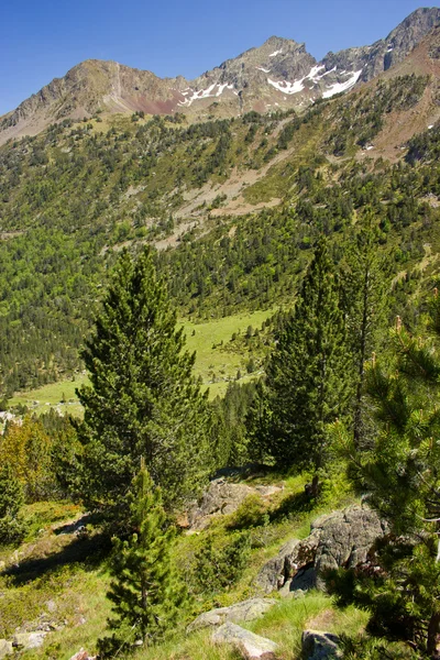 Pyrenees mountain in France — Stock Photo, Image