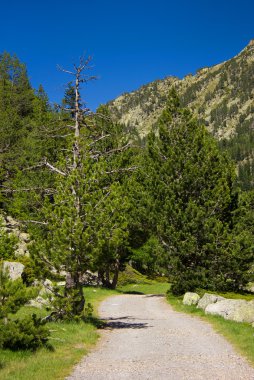 Pyrenees İspanya