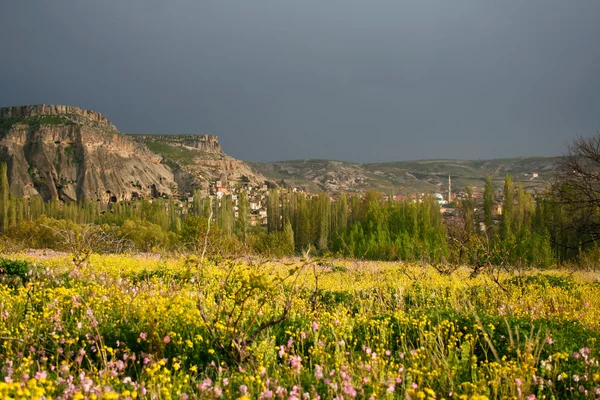 Долина Ихлары — стоковое фото