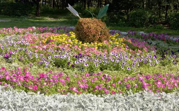 stock image Flowerbed with apple