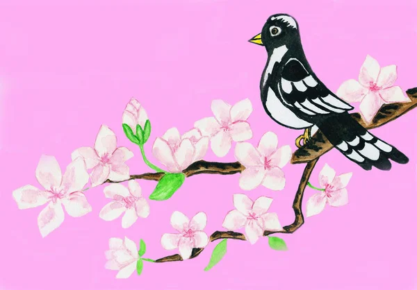 Fågel på gren med vita blommor på rosa bakgrund — Stockfoto