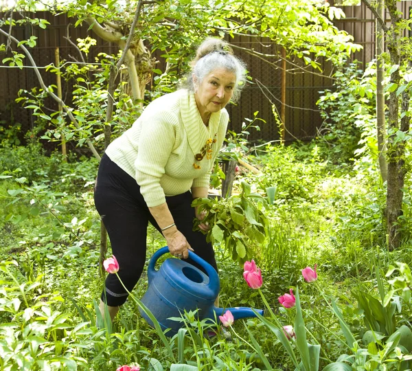 Oude dame drenken bloemen in de tuin — Stockfoto