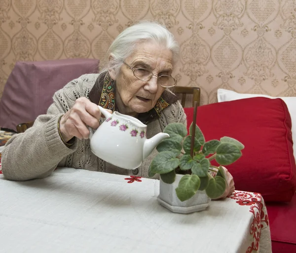 Old lady watering flower — Stock Photo, Image