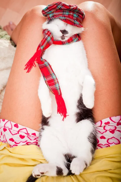 Young and funny looking cat wearing hat and a scarf — Stock Photo, Image