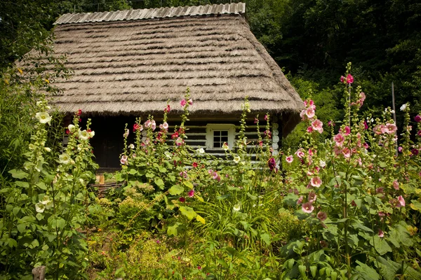 Casa de madeira tradicional — Fotografia de Stock