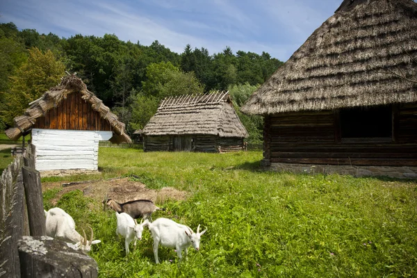 Casas de madera tradicionales —  Fotos de Stock