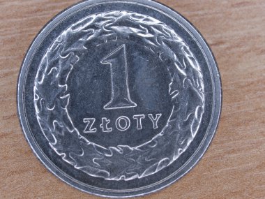 Polonya para birimi - 1 Zlotisi sikke yakın çekim