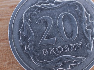 Close up of polish currency - 20 groszy coin clipart