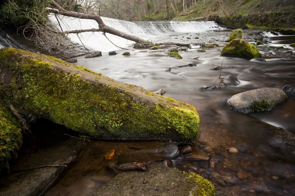 Sötvatten flod i edinburgh - Skottland — Stockfoto