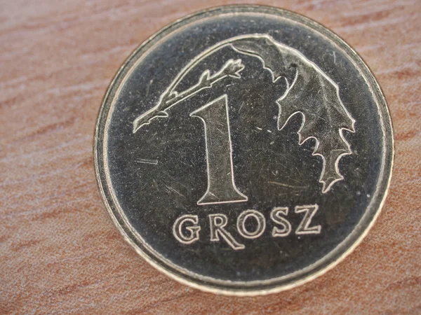 Close up van Pools valuta - 1 grosz munt — Stockfoto