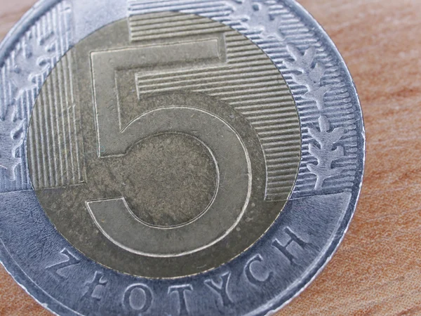 Zblízka polské měny - 5 zlotých mince — Stock fotografie