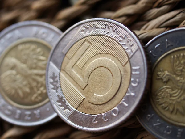Zblízka polské měny - 5 zlotých mince — Stock fotografie