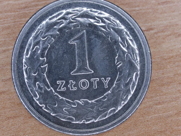 Close up van Pools valuta - 1 zloty munt Rechtenvrije Stockfoto's
