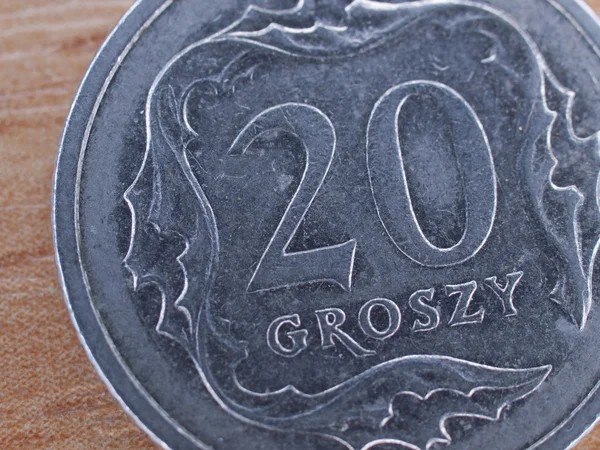 Närbild på polsk valuta - 20 groszy mynt Stockbild