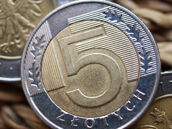 Close up van Pools valuta - 5 zloty munt Rechtenvrije Stockafbeeldingen