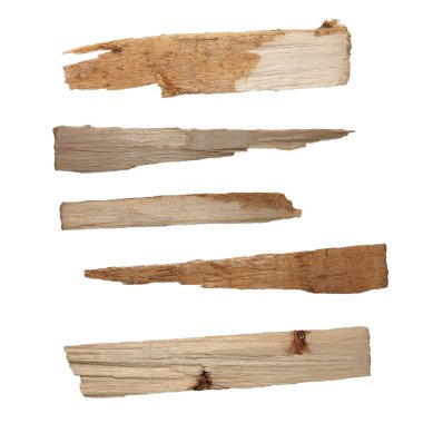 Collection pieces of broken planks of beech isolated on white background clipart